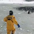 Un homme courageux tente de sauver un chien prisonnier dans un lac gelé !