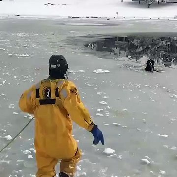 Un homme courageux tente de sauver un chien prisonnier dans un lac gelé !