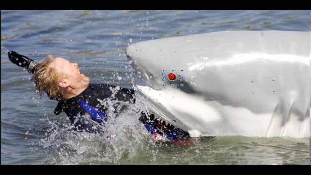 مرعب: أثناء ممارسته رياضة ركوب الأمواج.. سمكة قرش تهاجم طالب جامعي!