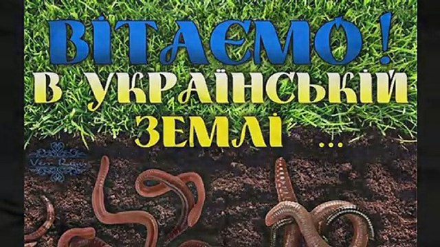 После обнаружения противника воинами ООС был уничтожен МТ-ЛБ