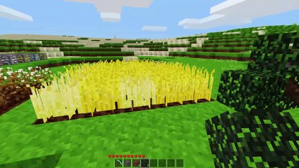 Minetest Mod Review: XPro