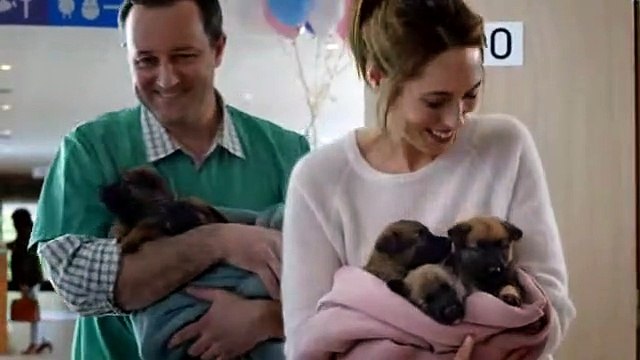 Kito est devenu père de 5 mignons petits chiots !