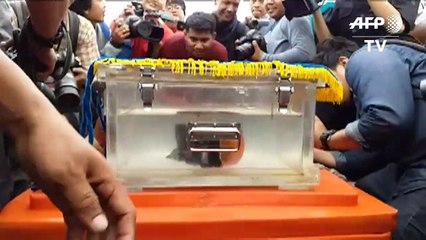 Encontrada segunda caixa preta do avião da Lion Air