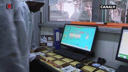 Guinée : le succès de Mamadou Saliou Diallo, le PDG autodidacte à la tête de Sonoco