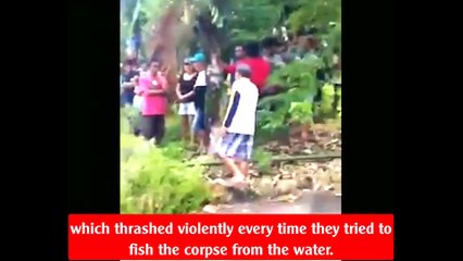 The scientist, 44, was eaten by a 17-ft assassin crocodile after she fed it in Indonesia.