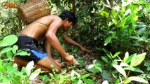 Primitive Technology: Awesome Quick Python Trap Using big Basket That Work 100% By Smart Boy