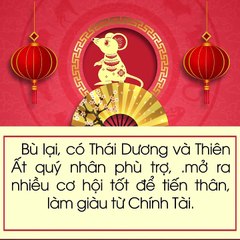 FB Tử vi tài lộc của tuổi Tý khi bước sang năm Kỷ Hợi 2019