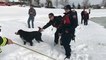 США: собаку спасли из замерзшего пруда