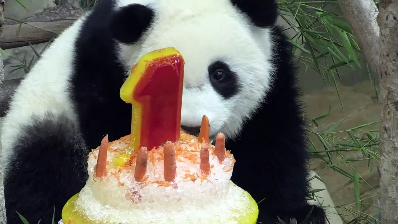 Feliz aniversário