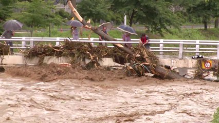 집중호우 '땜질식 처방' 막는다...하천 설계기준 전면 개정 / YTN