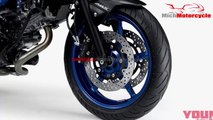 New Suzuki SV650 ABS Glass Sparkle Black  Launched In January 2019 | Mich Motorcycle