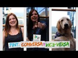 Como trazer animais de estimação para a Irlanda - PCVV#26 - E-Dublin TV