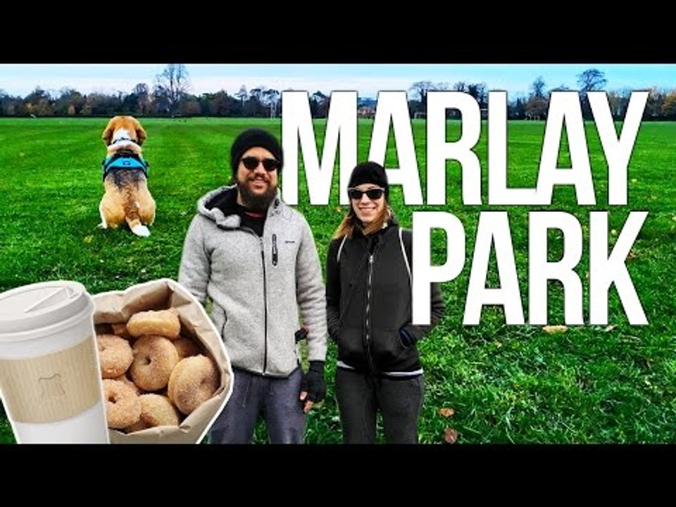 Passeando em Dublin - Marlay Park