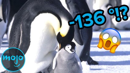 Top 10 Coldest Places on Earth