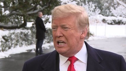 트럼프 "러시아 위해 일하지 않았다"...민주당, 청문회 추진 / YTN