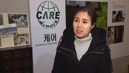 케어 직원이 말하는 '안락사' 논란..."동물들을 기억해달라" / YTN