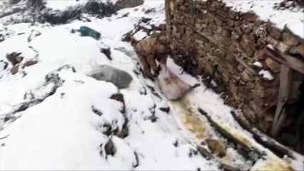 Minareye saklanmış esrar ele geçirildi - DİYARBAKIR