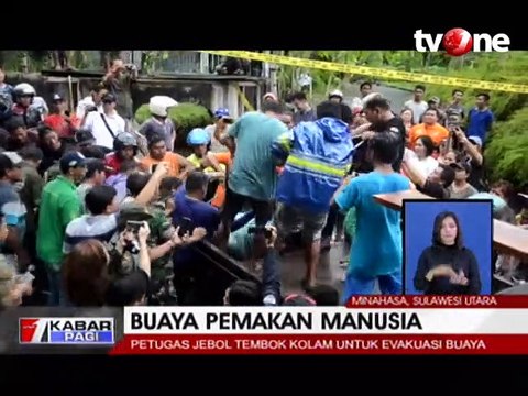 Evakuasi Dramatis Buaya 300 Kilogram Pemakan Manusia