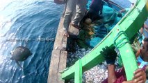 BOAT LAUNCHER FISHING | SAVE SEA TURTLES