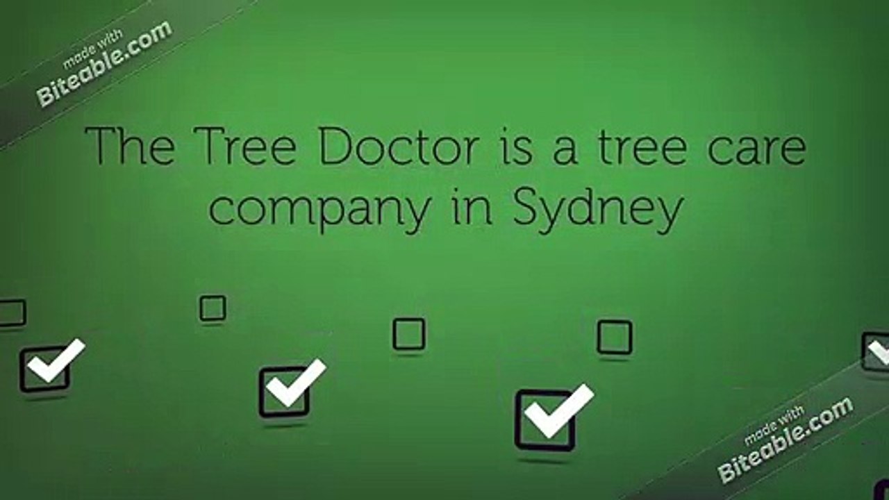 Tree Removal Service Sydney | The Tree Doctor