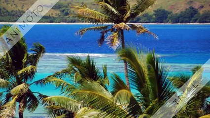 Welcome to Fiji - Exotic Travel Club