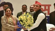 Akhilesh Mayawati का गठबंधन अगर Uttar Pradesh में हुआ फेल, तो दोनों का क्या होगा | वनइंडिया हिंदी