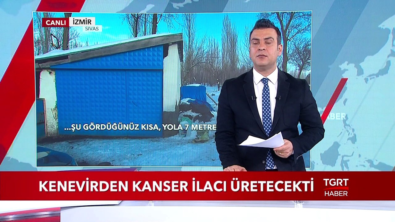 Kenevirden Kanser İlacı Üretecekti, Başına Gelmeyen Kalmadı!