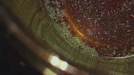 남양 음료에서 곰팡이 추정 물질..."유통 중 패키지 손상된 듯" / YTN