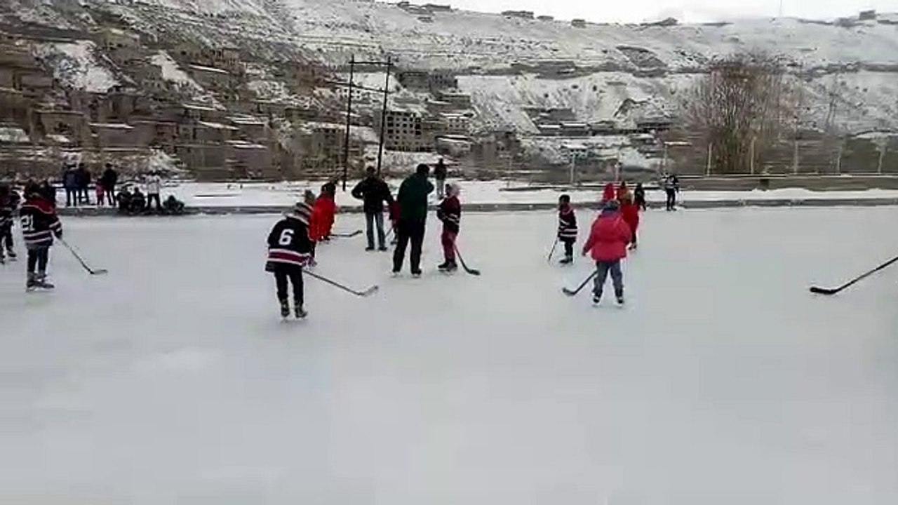 Playing Ice-Hockey
