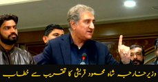 Federal Minister for Foreign Affairs Shah Mehmood Qureshi addressing media