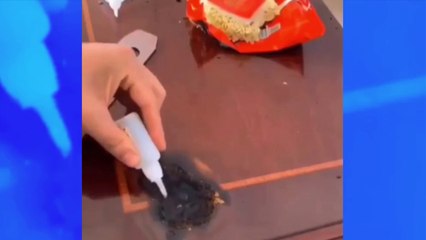 Il utilise des nouilles pour réparer une table, le résultat est à peine croyable