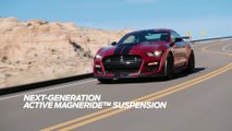 VÍDEO: Despejamos dudas, esto es lo más bruto de hoy, Ford Mustang Shelby GT500 2020