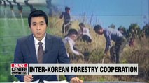 S. Korea to set up working group on inter-Korean forestry cooperation
