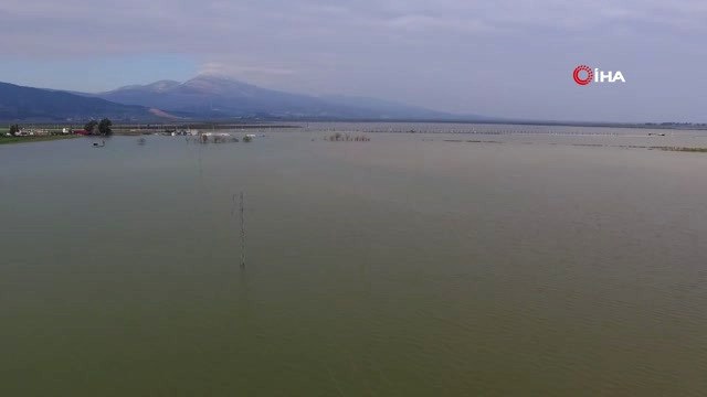 Amik Ovası'nda 200 Bin Dönüm Alan Sular Altında
