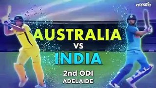 India vs Australia 2nd ODI 2019 January 15 full Highlight - Wickets