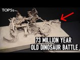 5 Most Amazing & Unbelievable Fossils Ever Unearthed