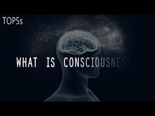 What is Reality? | 5 Things We Still Don't Understand About The Human Brain...
