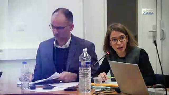 Questions à Camille DUPUY (IRES) - jeunes et avenir du travail - cese