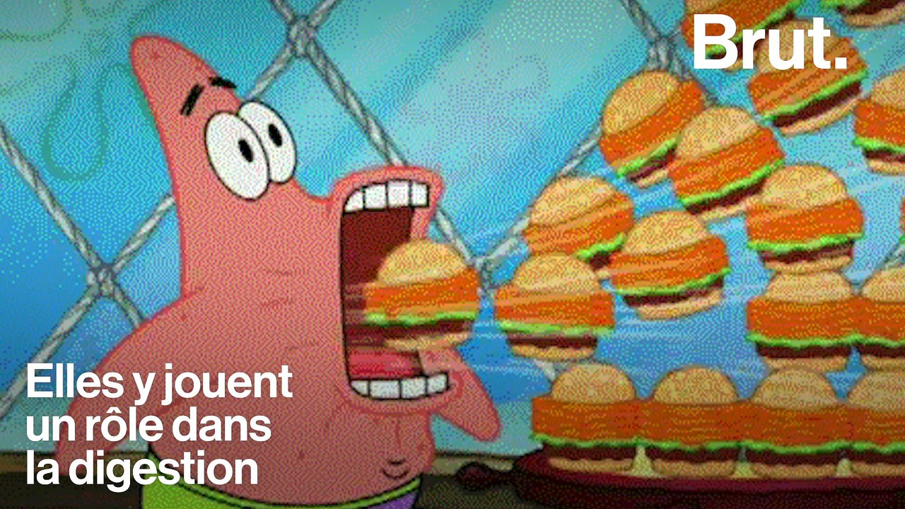 Le microbiote, des bactéries indispensables à notre bien-être