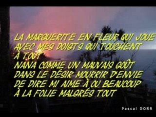 Margoz amer (dominique barret)