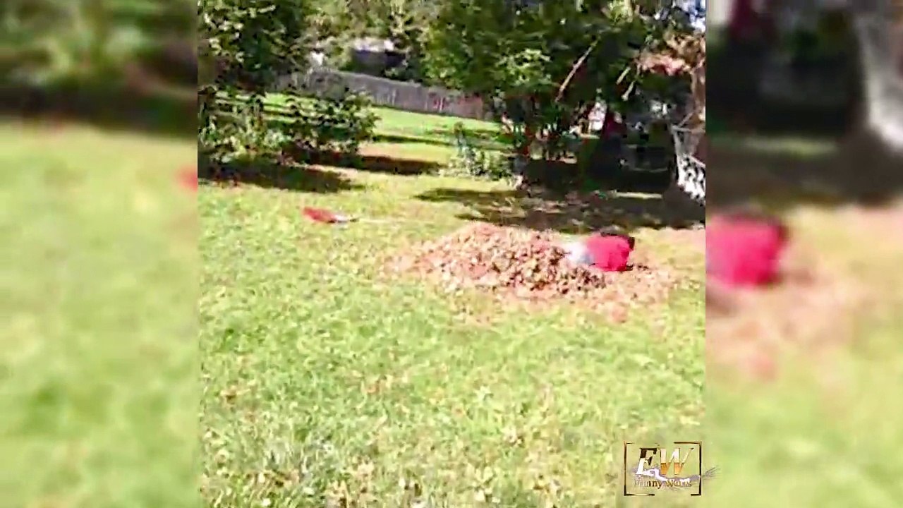 People Vs Leaves Fails of All Time -So Far -- by funny world 2019