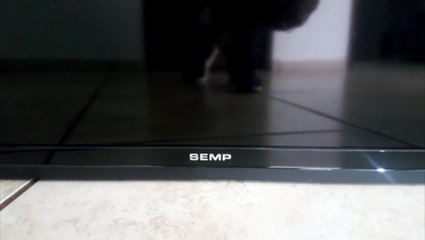 Polícia procura dono de televisão que foi apreendida