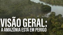 As razões assustadoras de por quê Bolsonaro é ruim para a Amazônia