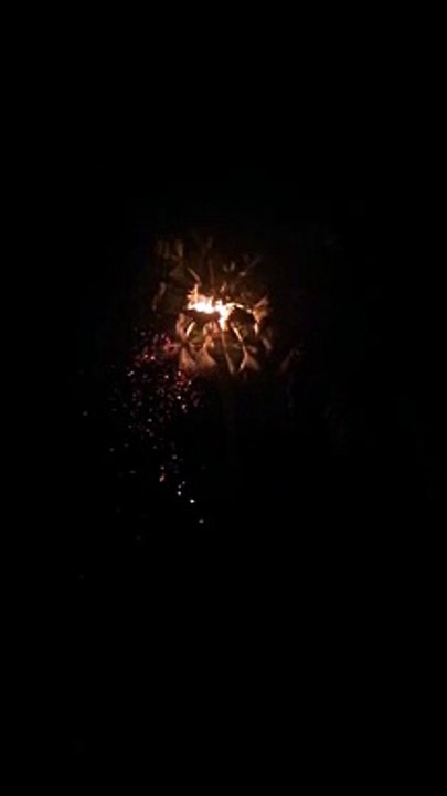 Coconut tree Burning