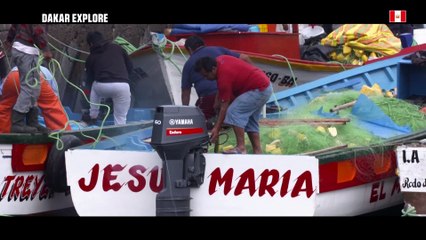 Magazine - Lomas Harbour - Stage 6 (Arequipa / San Juan de Marcona) - Dakar 2019