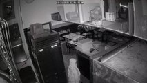 Security Camera Catches Suspicious Sneaking