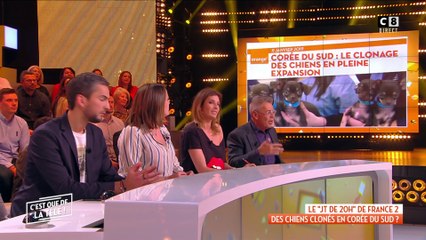 Pour ou contre le clonage des chiens en Corée du Sud ?