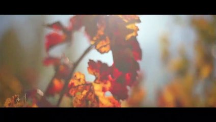 Ömer Balık - You Got Me