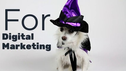 Correct Digital Promo Video - Work With SEO Wizards