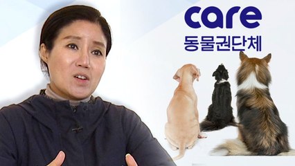 '케어' 박소연, "금주내 기자회견..입장 발표" / YTN